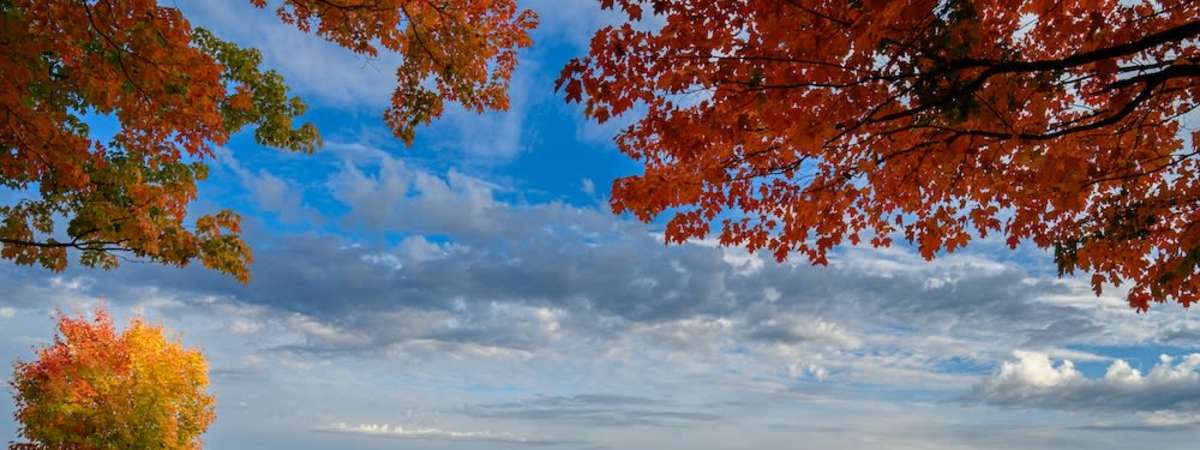 Where To Go Apple & Pumpkin Picking In New York