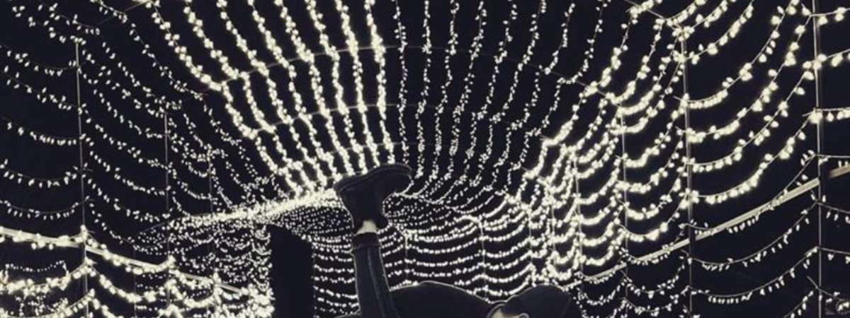 Winter Wonderland: KC Christmas Light Show