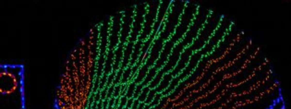 Winter Wonderland: KC Christmas Light Show