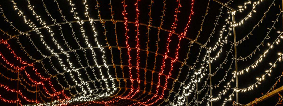 Winter Wonderland: KC Christmas Light Show