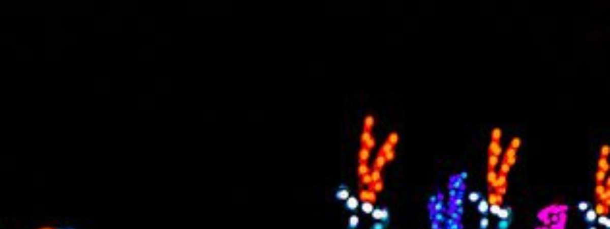 Winter Wonderland: KC Christmas Light Show