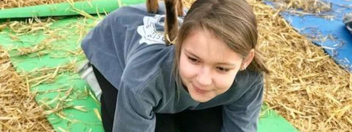 Goat Yoga Nashville- Almost New Years Eve Class