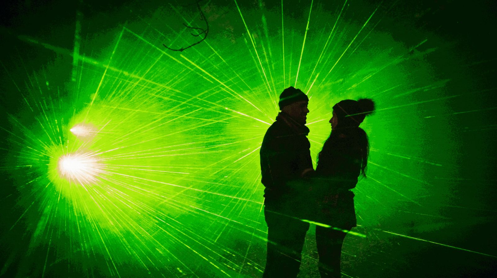 Proposal Lightscape Lightscape in San Francisco at San Francisco Botanical Garden