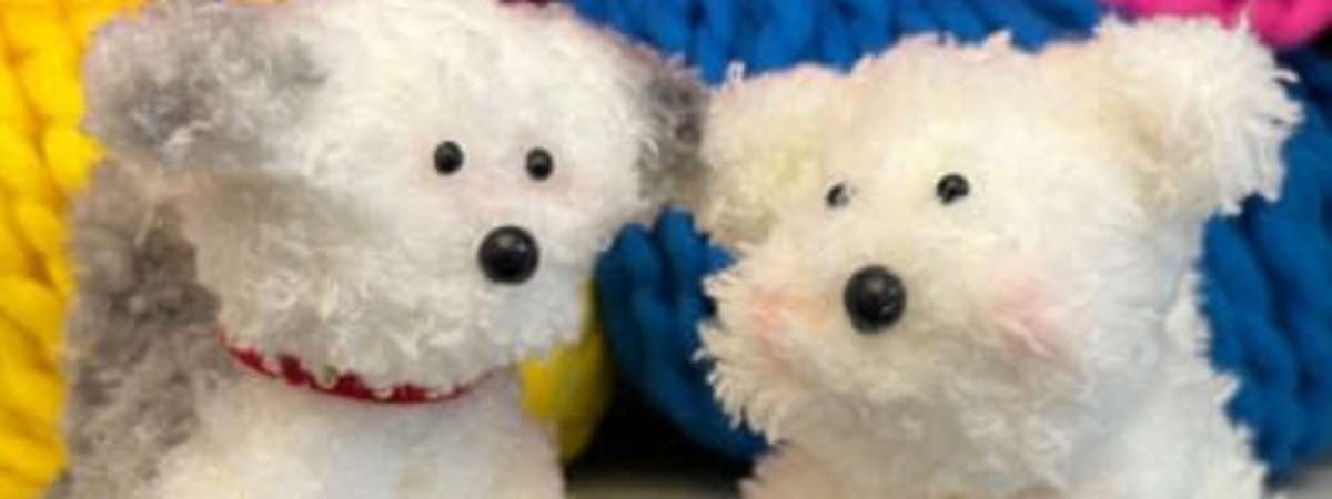Mini Wire Fur Plushie (Moru Doll) Class