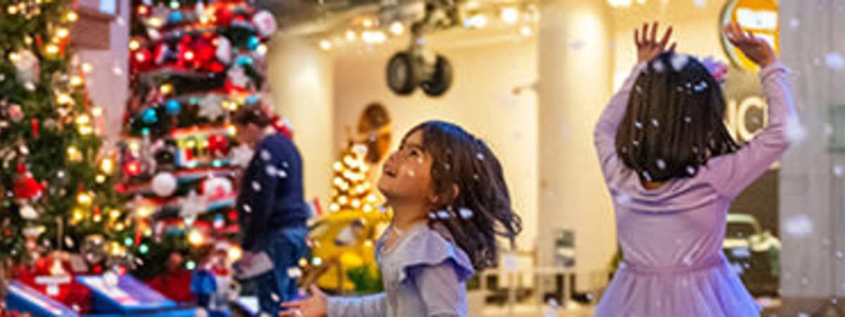 Member Holiday Hours