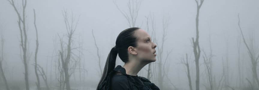 Allie X