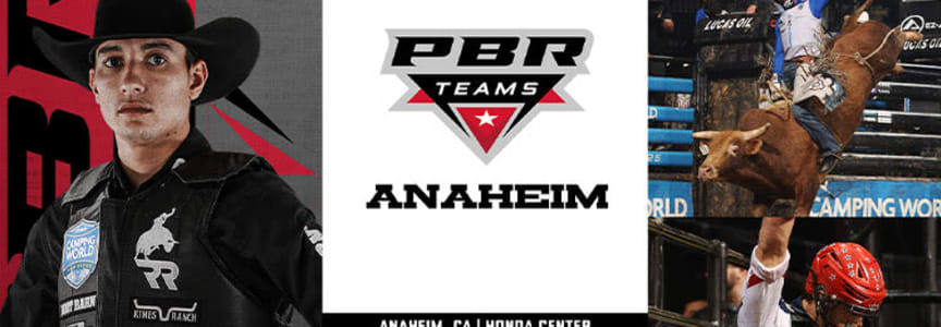 PBR Teams