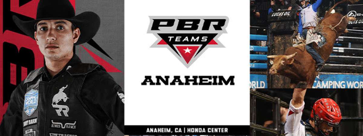 PBR Teams