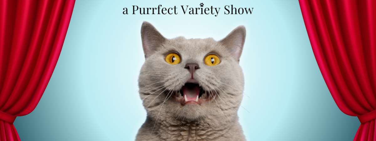 Catbaret! NYC’s Cat-Themed Variety Show: Meowloween!