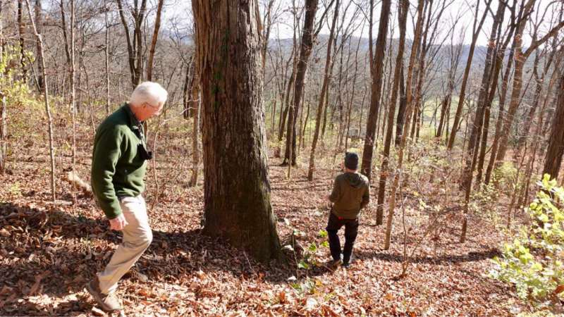 Hill Forest Adventure