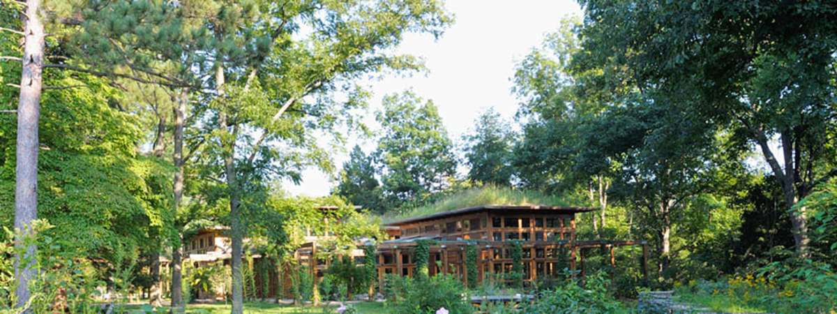 Mid-Week Nature Stroll