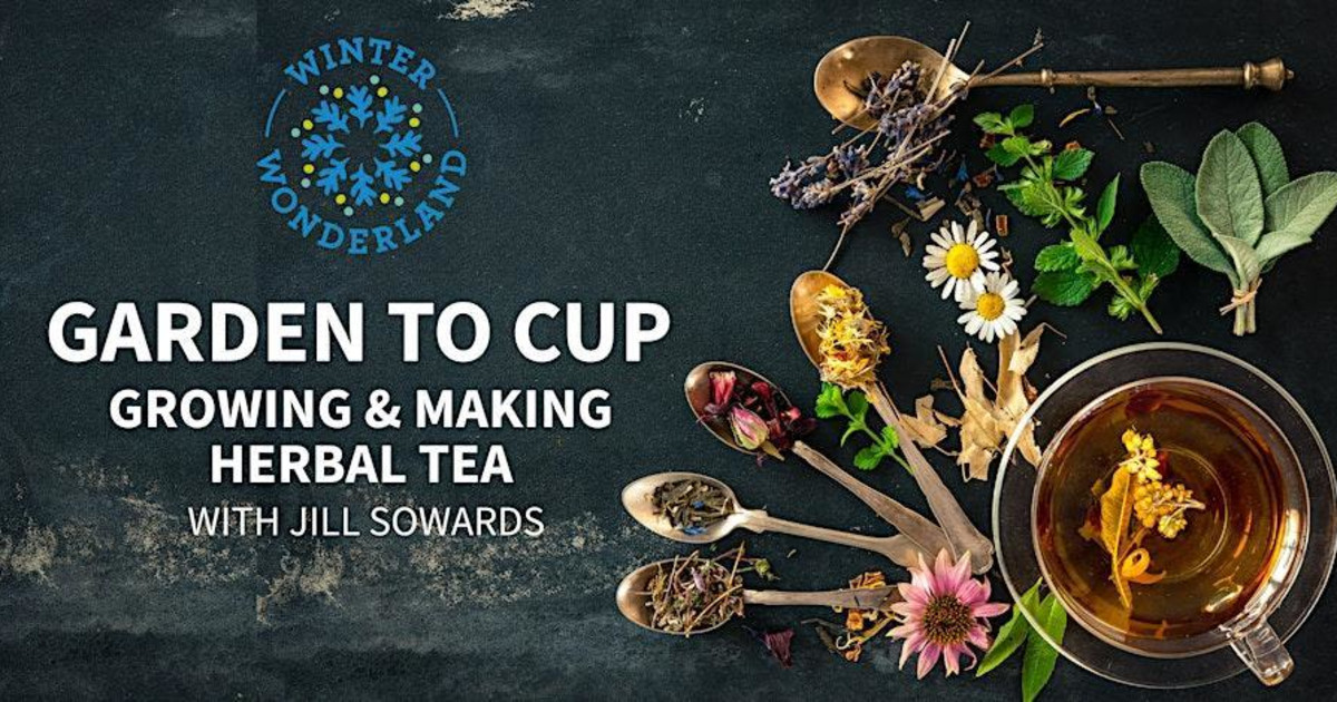 Garden to Cup: Growing & Making Herbal Tea in Ross at Marin Art and