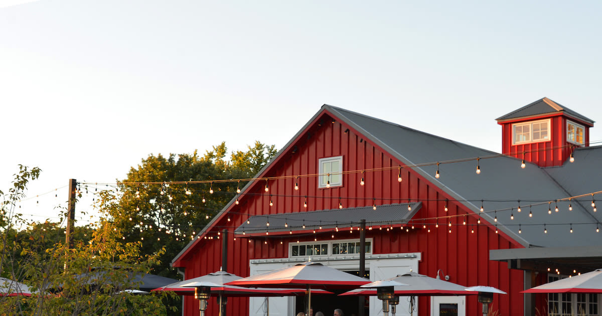 holly-vine-in-overland-park-at-aubrey-vineyards