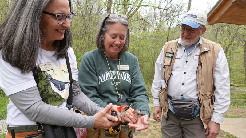 Winter Bird Banding Research