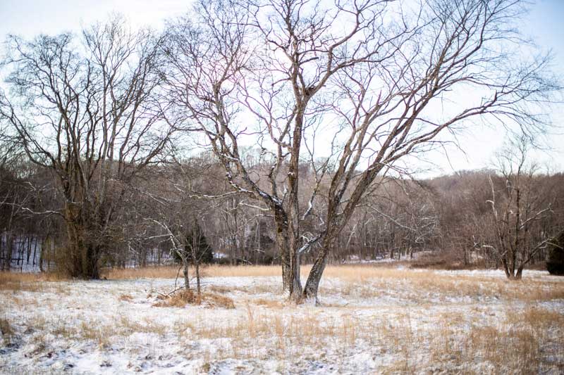 Winter Survival Game