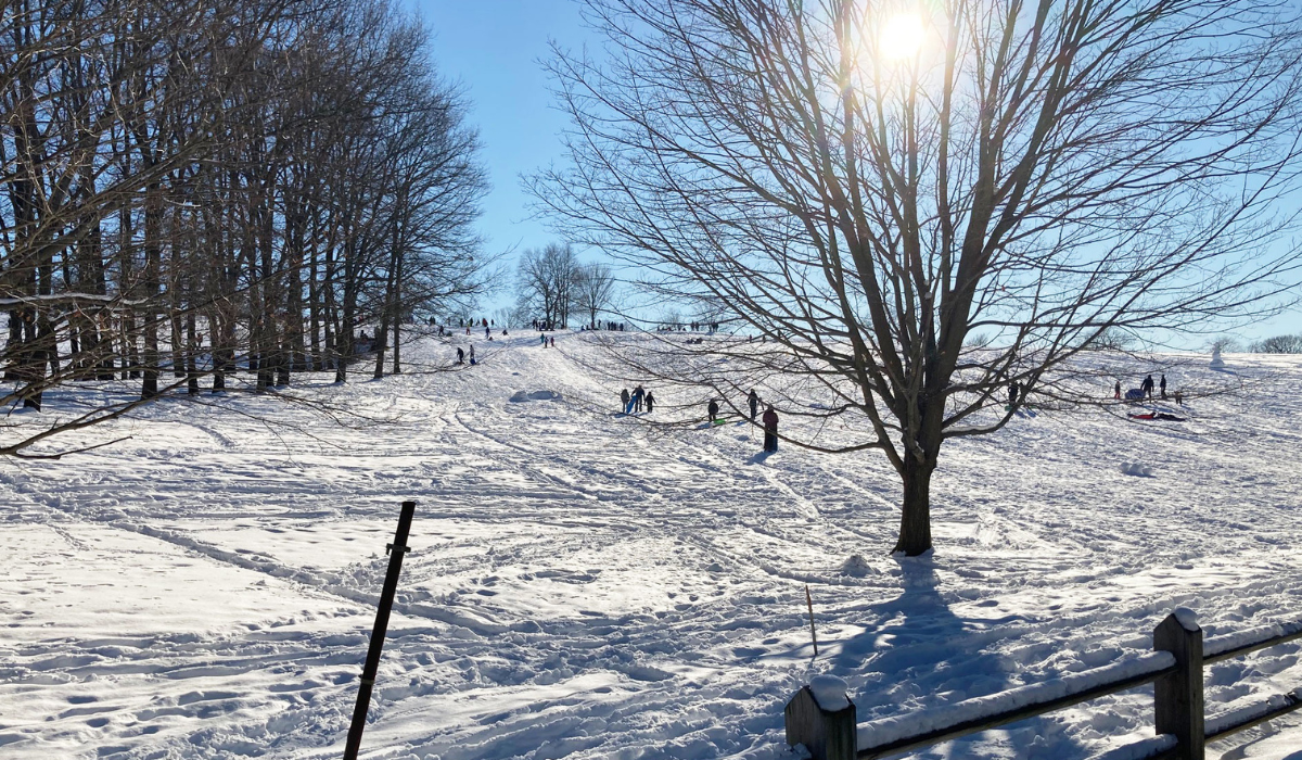 Best Sledding in Boston