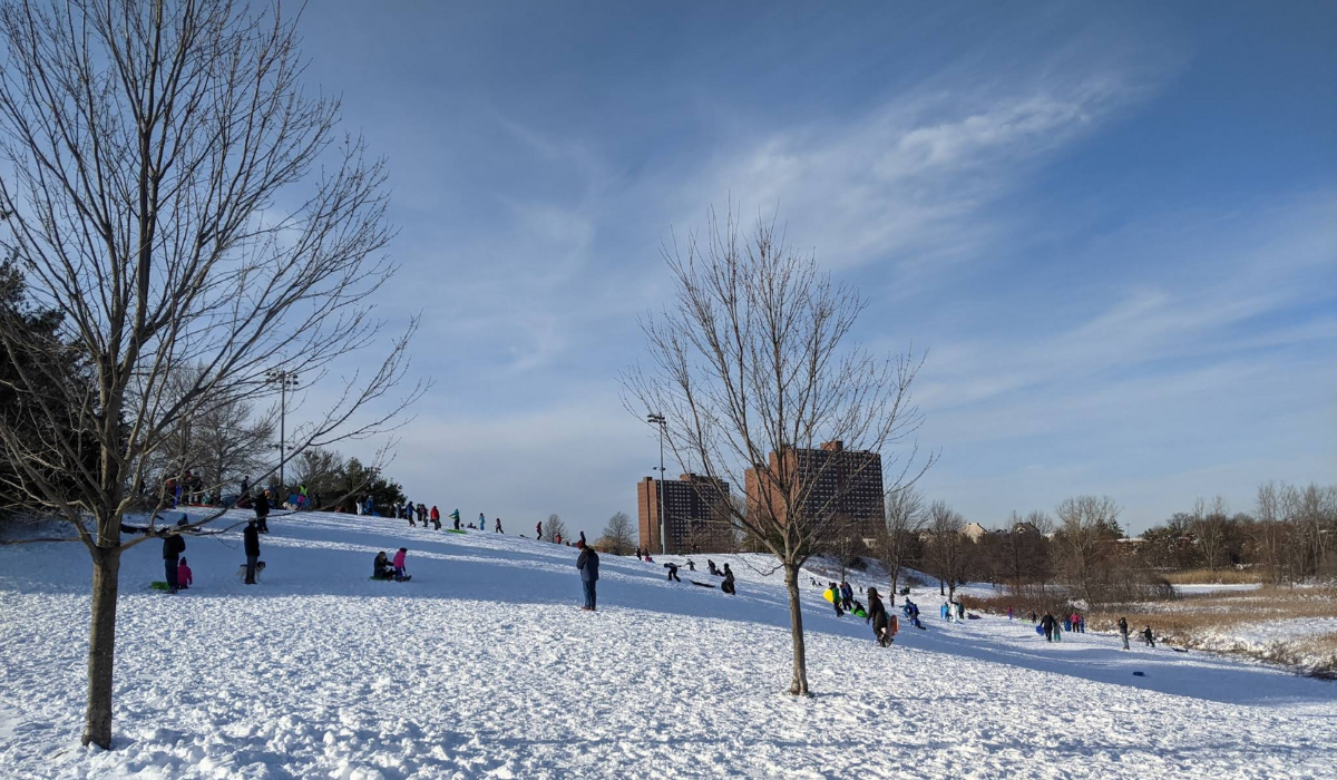 Best Sledding in Boston