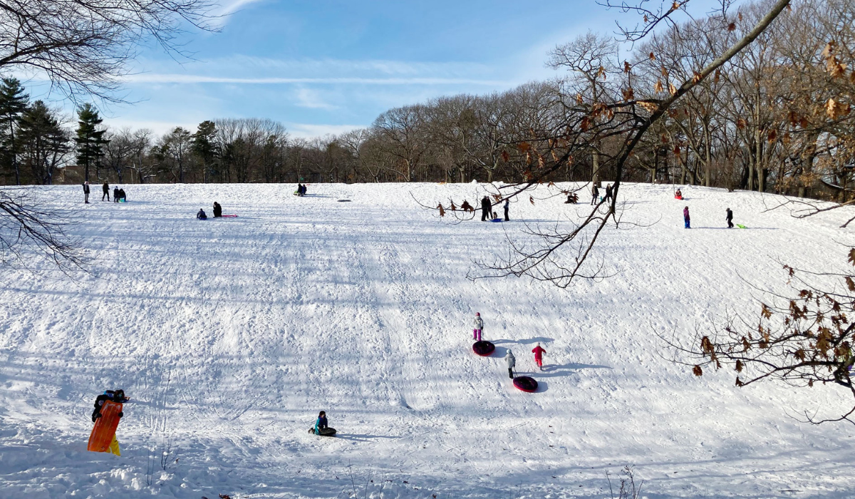Best Sledding in Boston