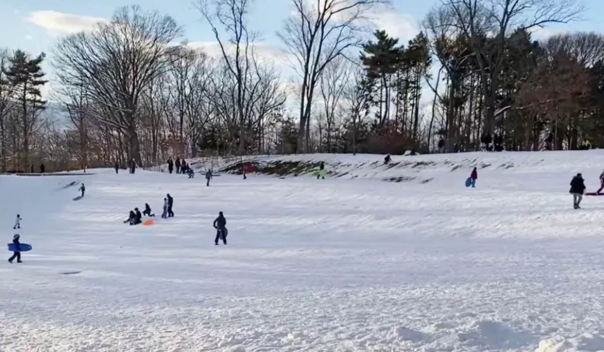 Best Sledding in Boston