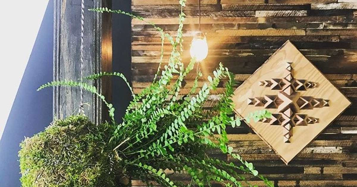 Kokedama: Japanese Hanging Plant & Moss Ball Gardens