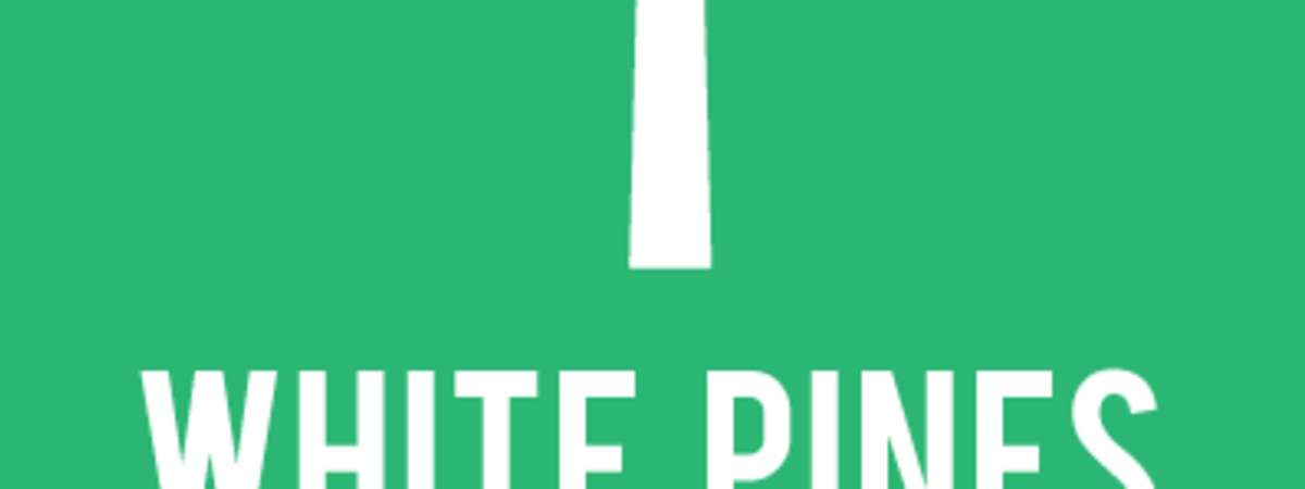 White Pines Local Author Gala