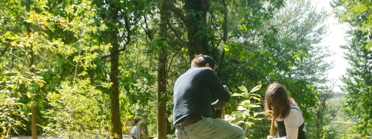 Restoration Workday