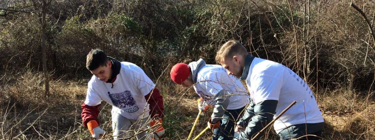 Restoration Workday