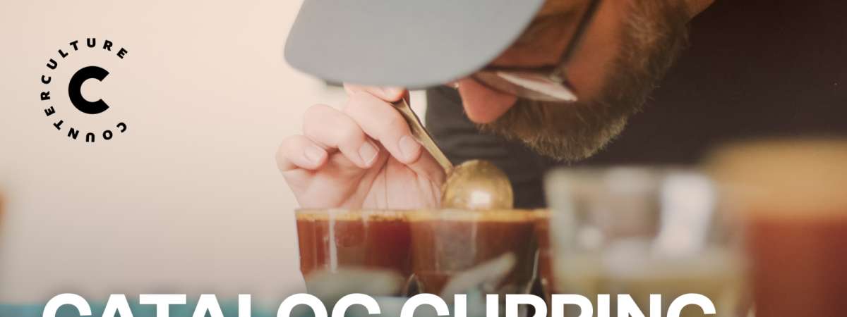Catalog Cupping