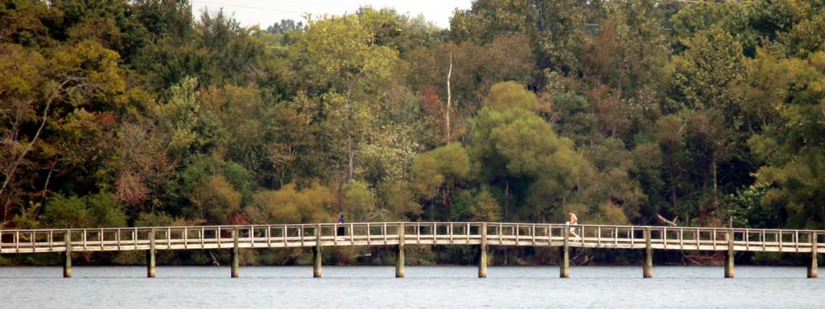 Couchville Lake Hike