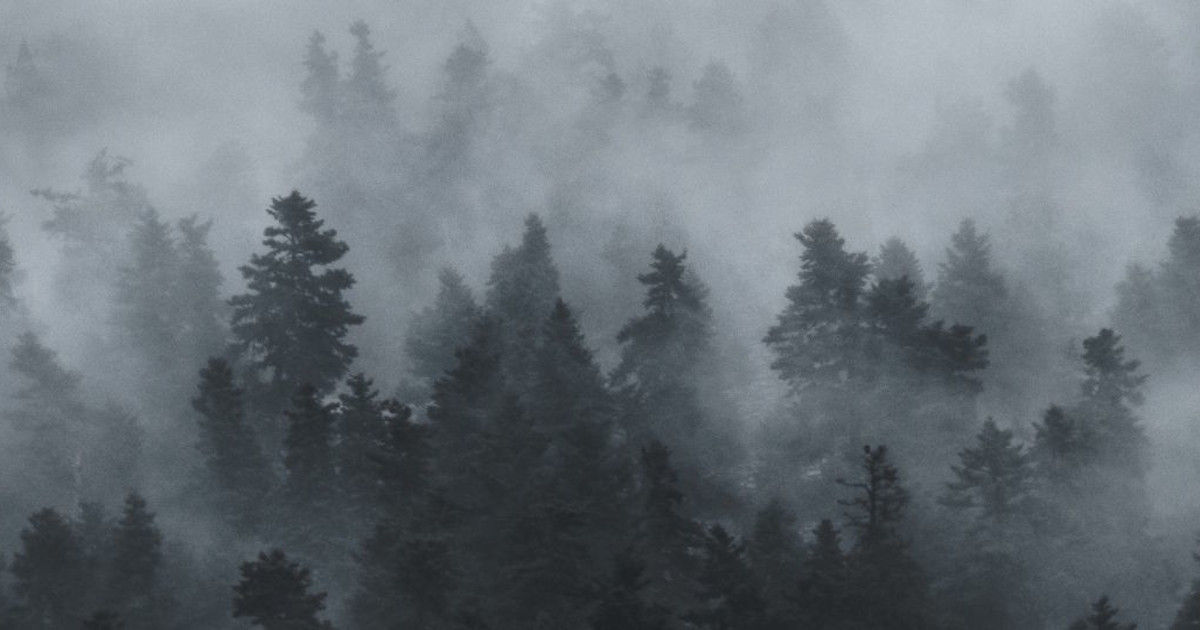 The Fog in Austin at Blue Starlite Drive In