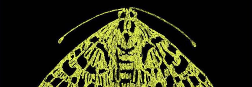 The Moth StorySLAM - AMERICAN DREAMS