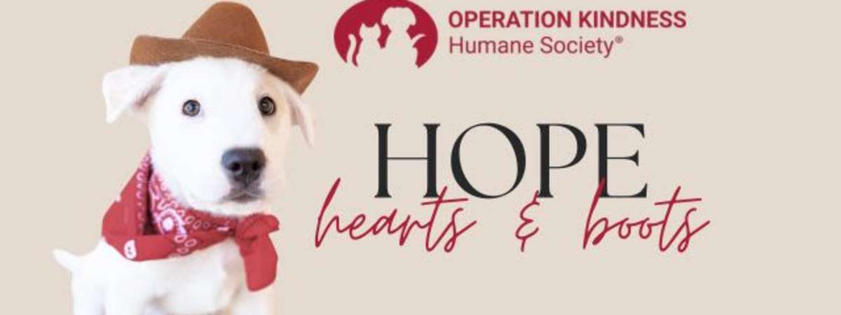 Hope, Hearts & Boots