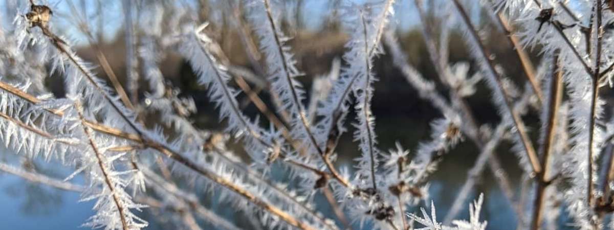 Parklands Winter Break Camp