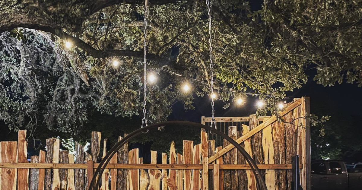 Holiday armadillo hanukkah