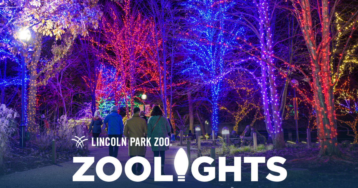 ZooLights Presented by Invesco QQQ and ComEd in Chicago at