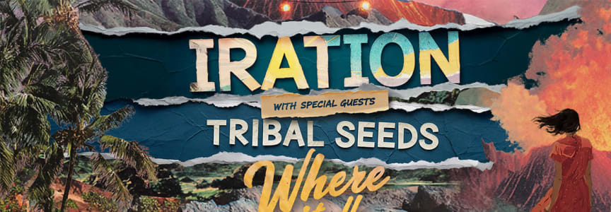 Iration with TRIBAL SEEDS and SURFER GIRL