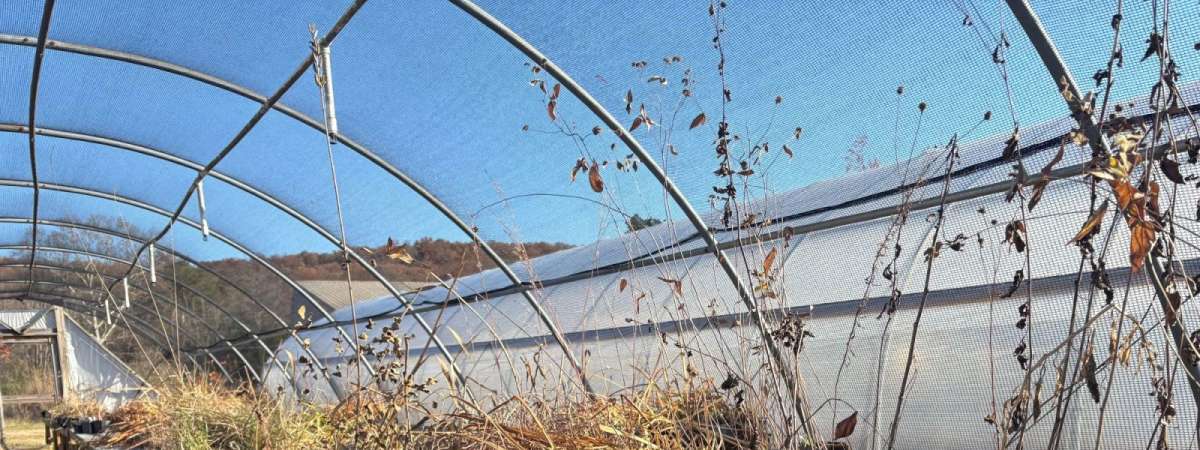 Winter Propagation: Cultivating Plants in the Cold Season