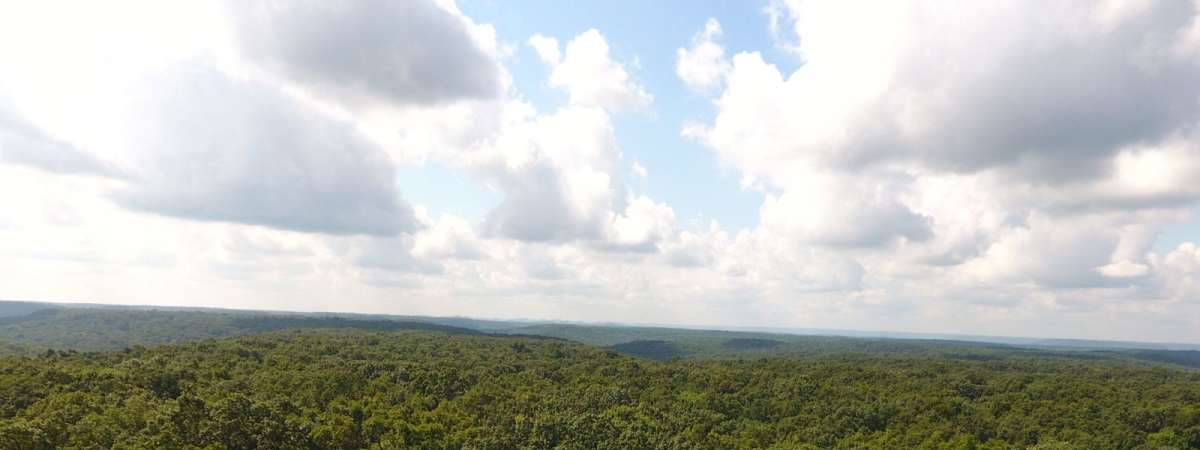 Bernheim Fire Tower Tour & Guided Hike