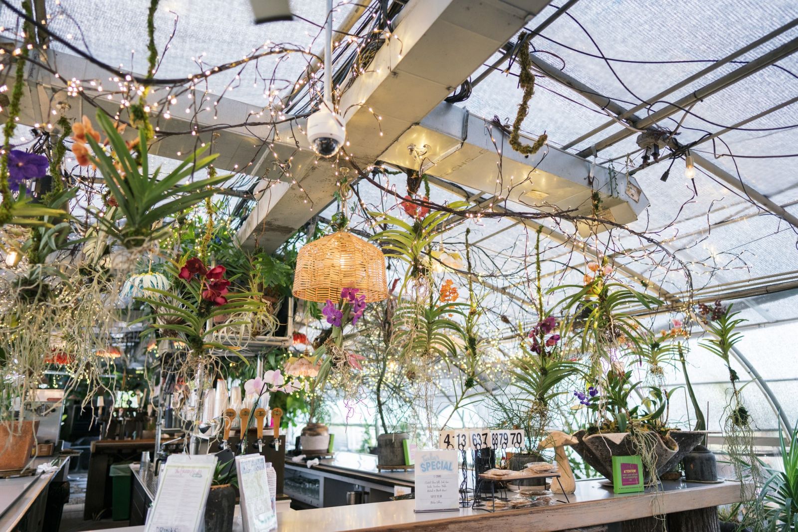 Where To Find Mocktails in Nashville