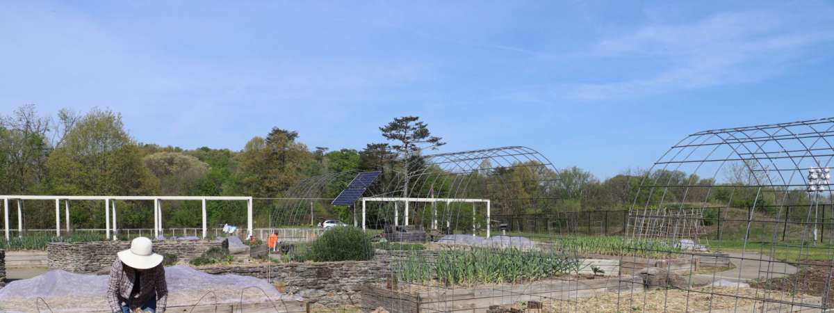 Plotting Your Harvest: Vegetable Garden Design