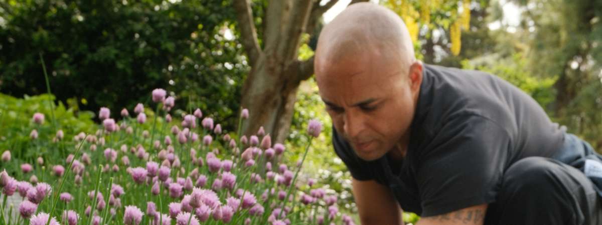 An Evening with VanDusen Experts