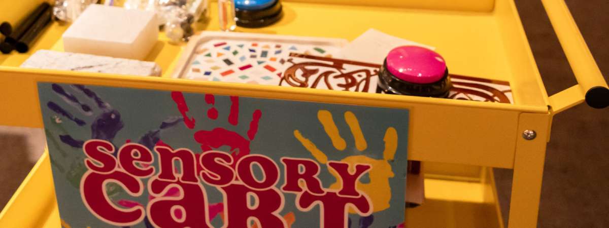 Sensory Cart