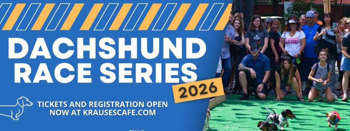 Dachshund Races