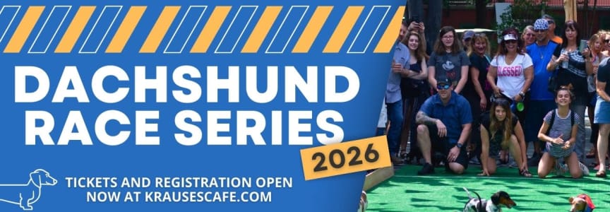 Dachshund Races