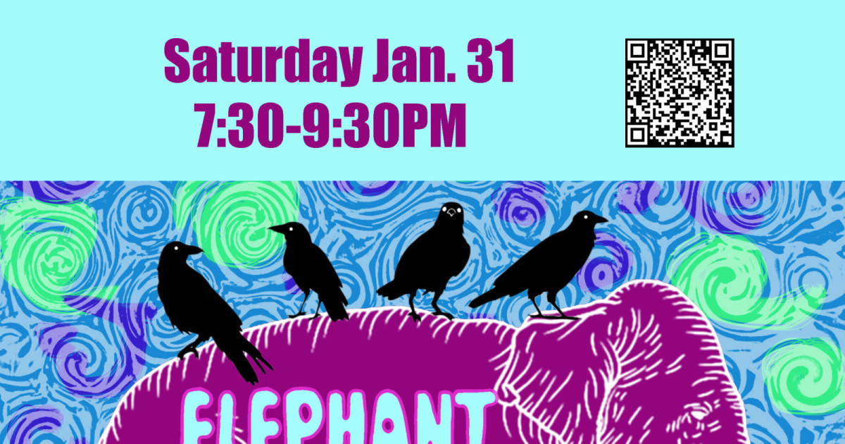 Elephant Crows: A Live Musical Performance in Seattle at Mr. B's