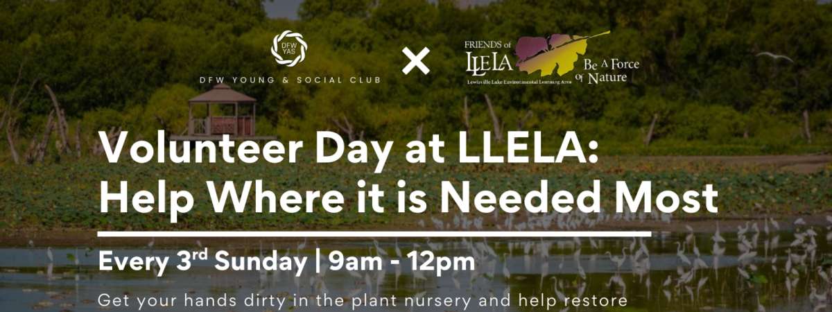 Volunteering at LLELA: Help Where It’s Needed Most