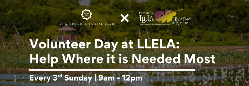 Volunteering at LLELA: Help Where It’s Needed Most