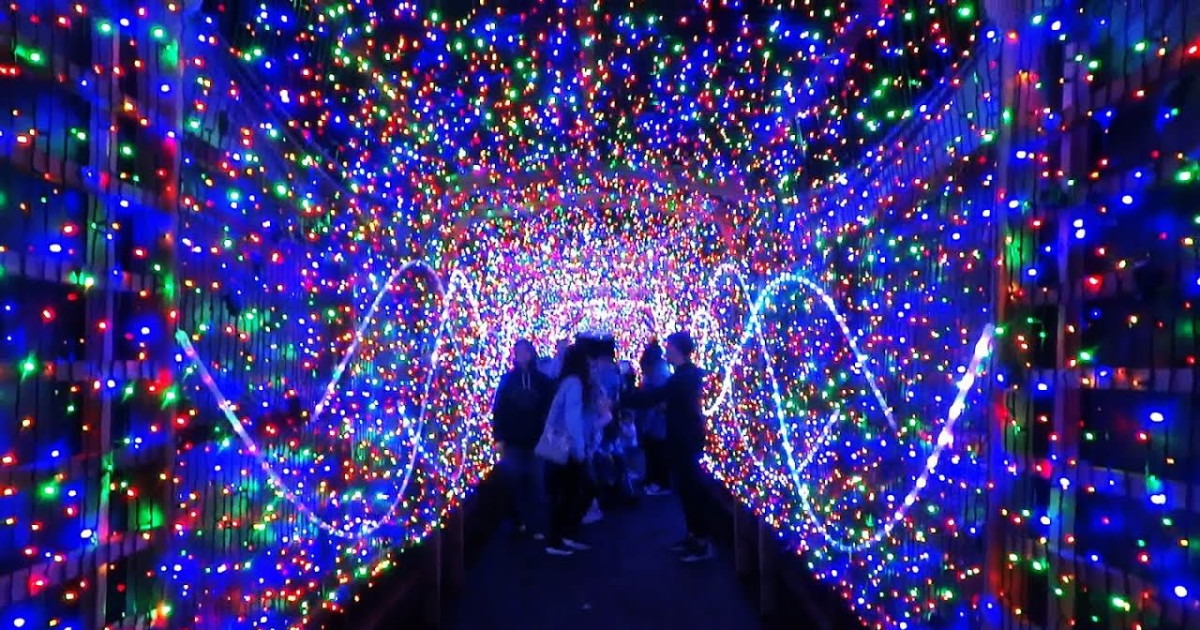 LA Zoo Lights in Los Angeles at LA Zoo