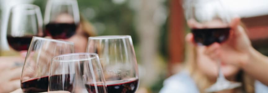Wine Fest on the Beach - Wine Tasting