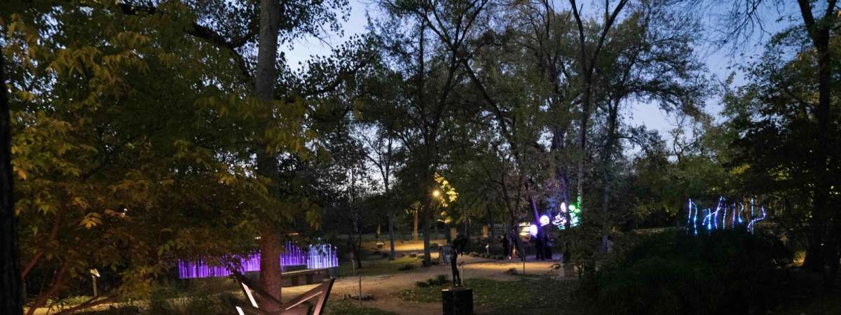 Insights: Design Shine